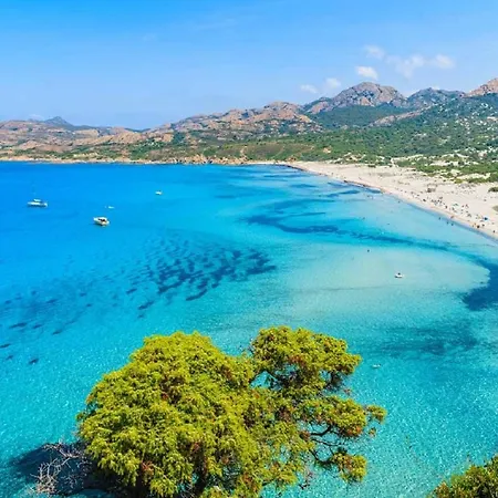 Vue * Calvi (Corsica)